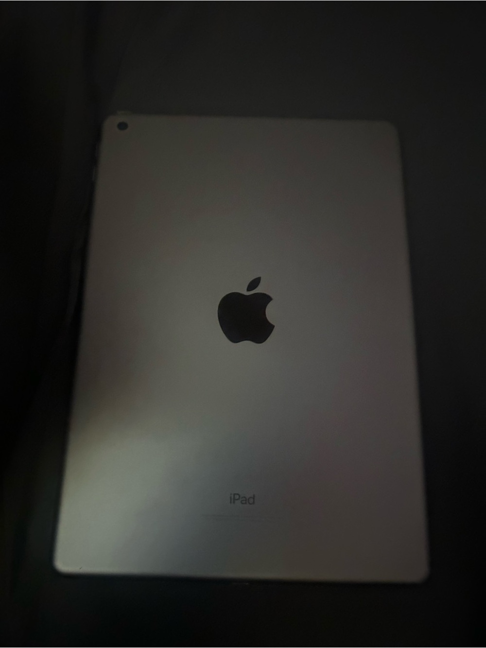 Apple iPad - Space Gray Back Panel